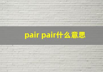 pair pair什么意思